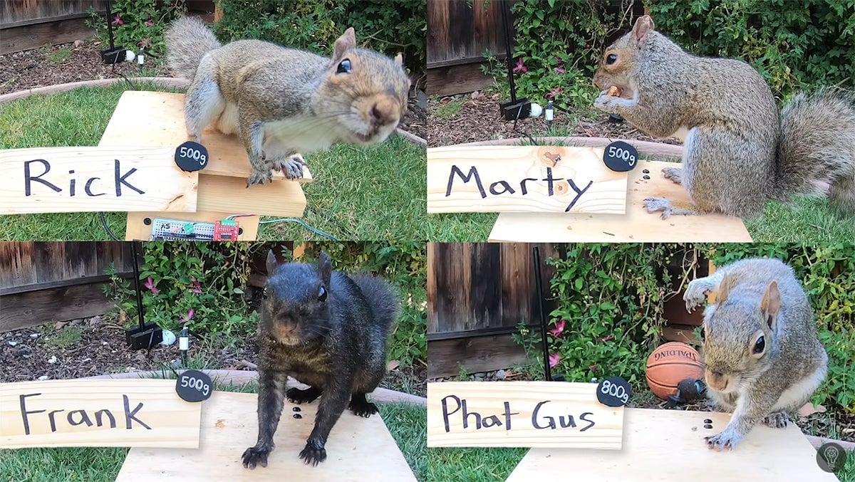 Screenshot: Mark Rober