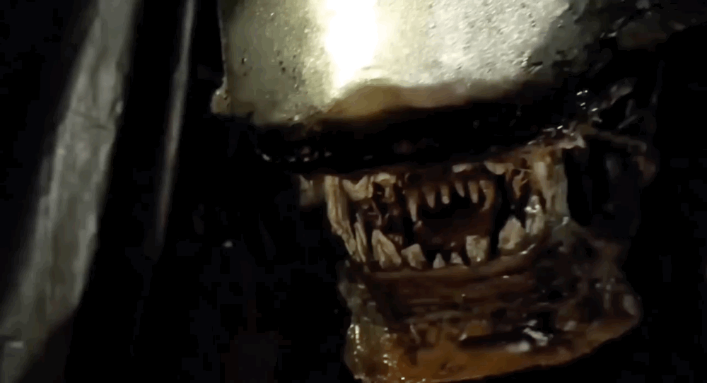 Gif: Cardboard Movie Co.