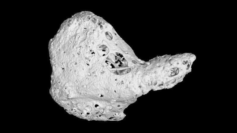 Photo: Universidad de Nottingham