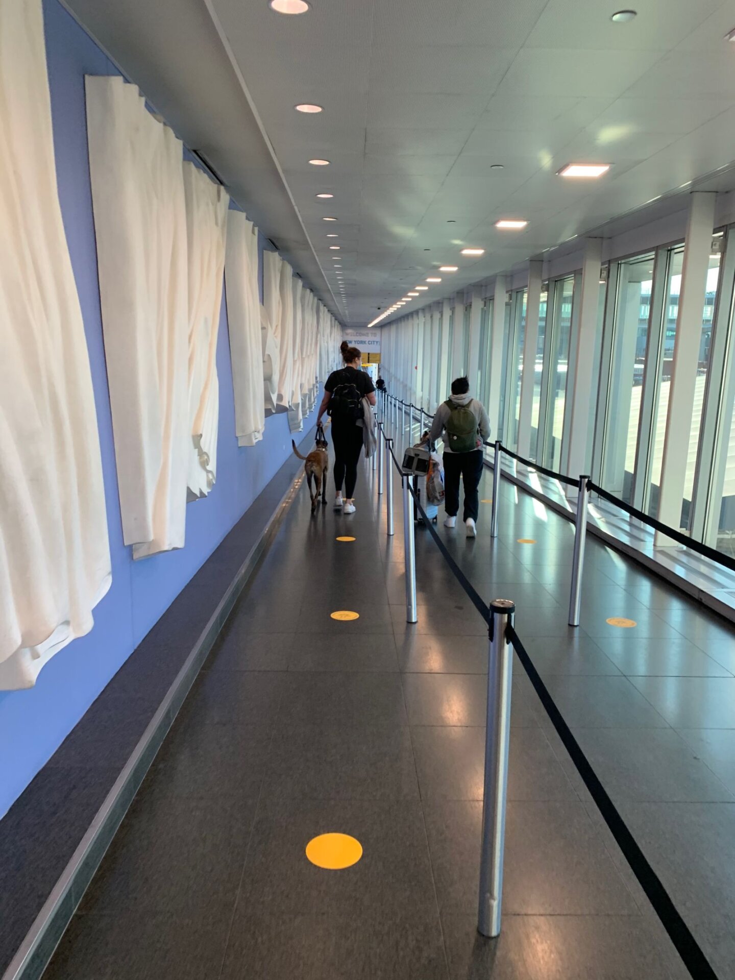 Photo: Estos puntos amarillos en el piso son el indicador más visible en JFK de que está ocurriendo una pandemia