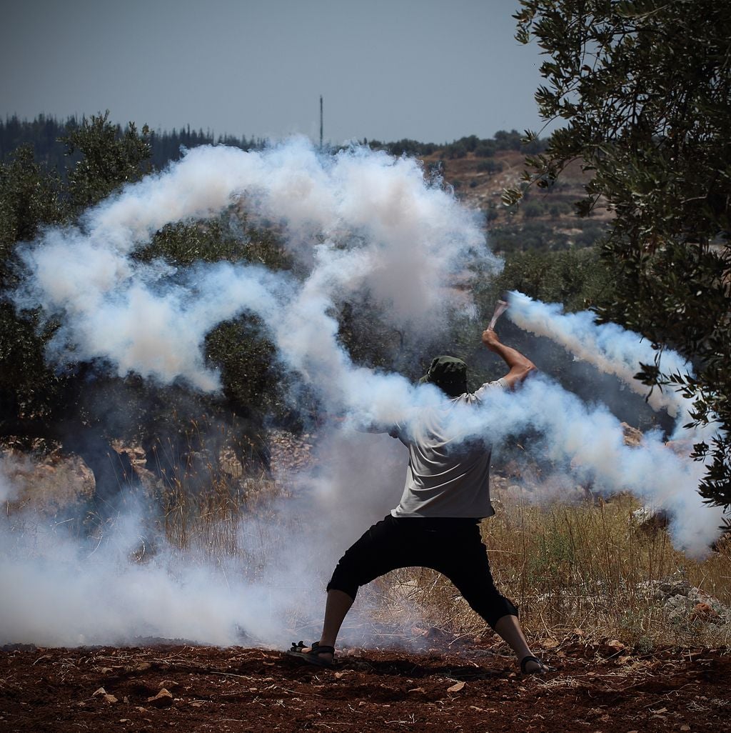 Protestas en Palestina en 2014