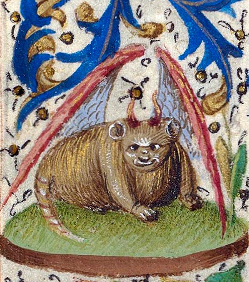 Gato demoníaco del Libro de las Horas. Siglo XV
