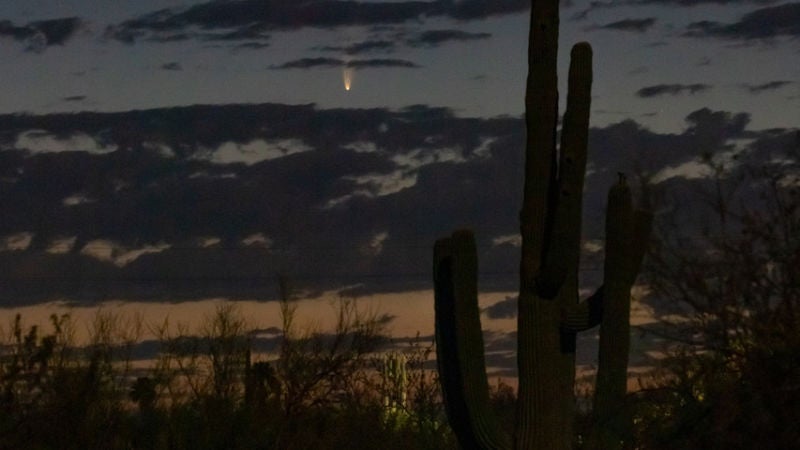 El cometa tal como apareció en Arizona el 6 de julio de 2020.