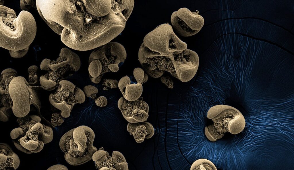 Image: Hang Yu / Caltech