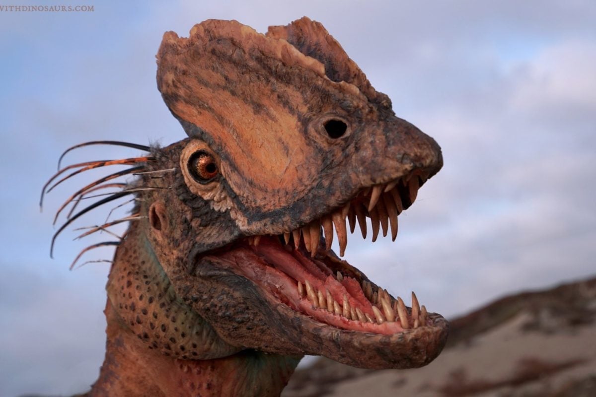 Reconstrucción de un Dilophosaurus según los últimos estudios.