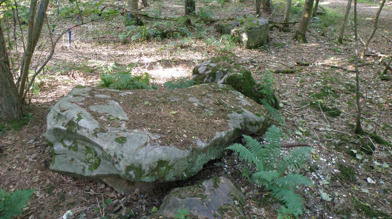 Una gran piedra sarsen en West Woods.