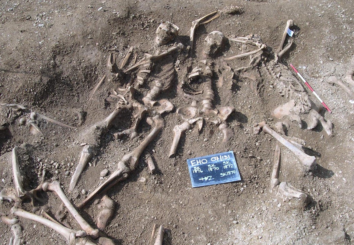 Vikingos masacrados en el siglo X y enterrados en una fosa común cerca de Oxford.