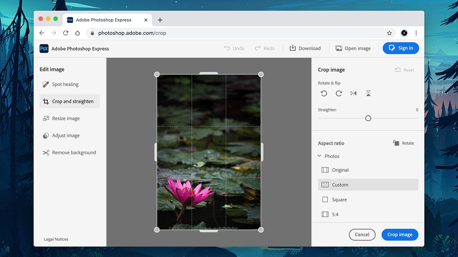 Image: Adobe Photoshop Express