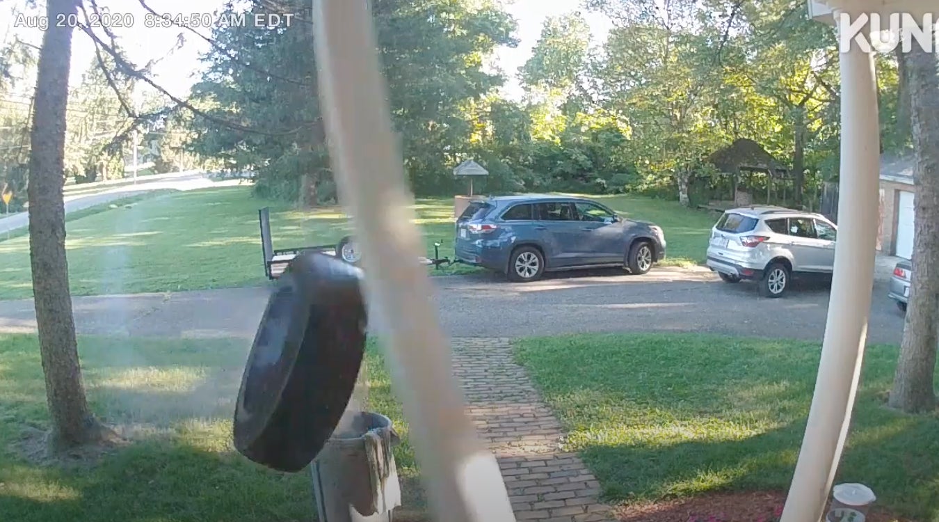 Gif: ViralHog/YouTube