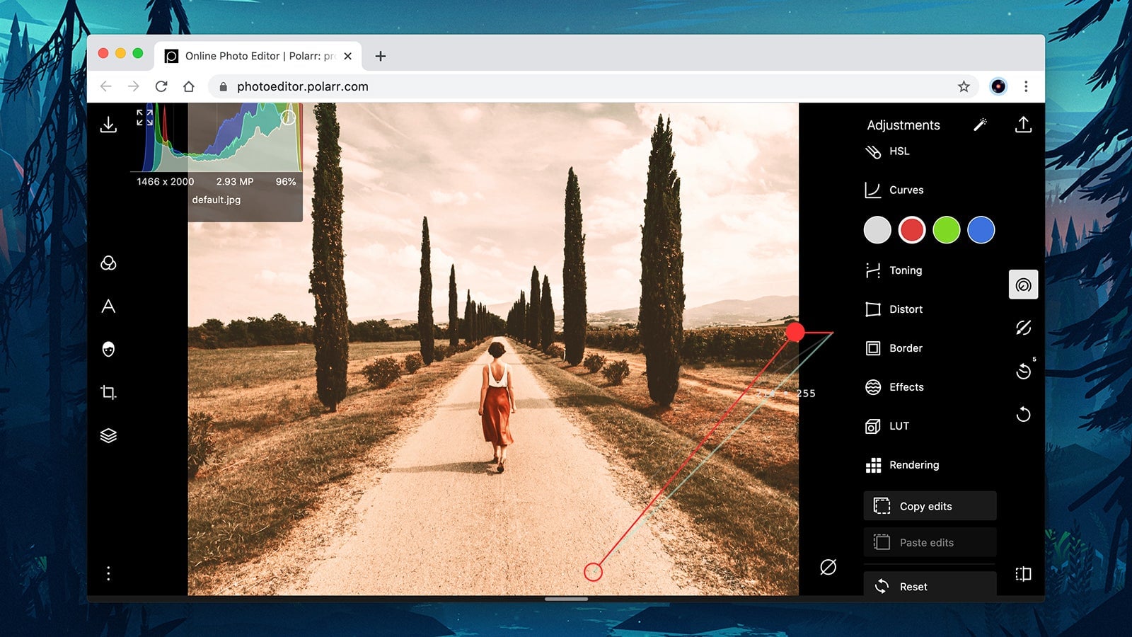 Image: Polarr