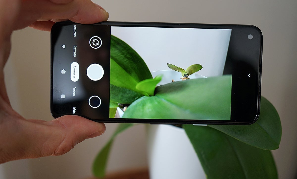 Photo: Carlos Zahumenszky / Gizmodo