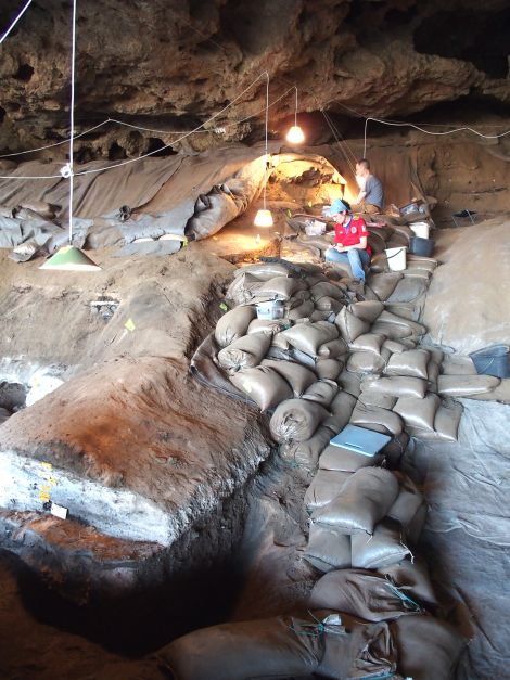 Excavaciones en Border Cave.