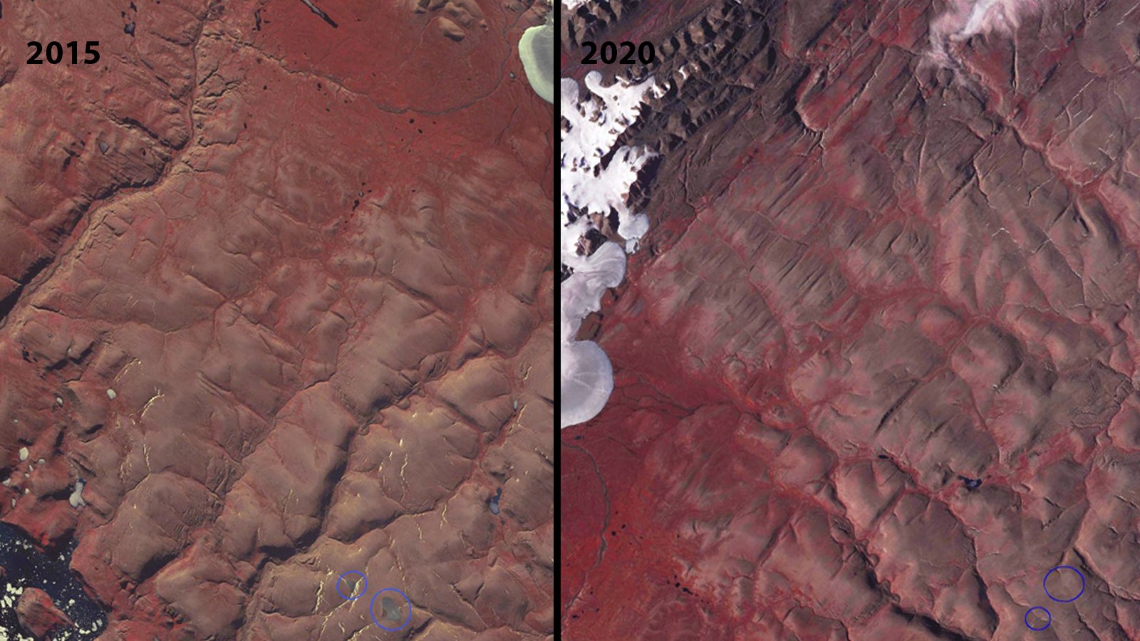 Image: Bruce Raup (National Snow and Ice Data Center