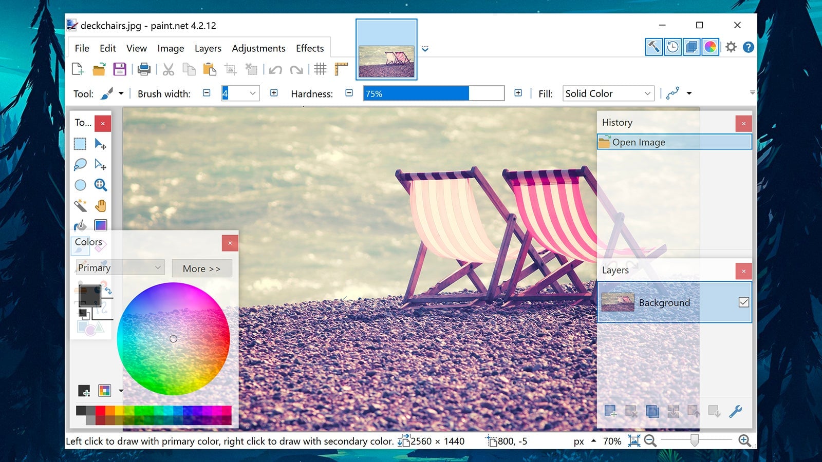 Image:  Paint.NET