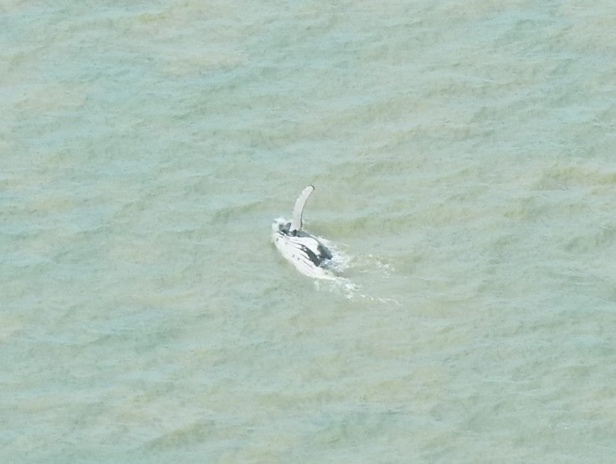 Photo: Kakadu National Park / Facebook