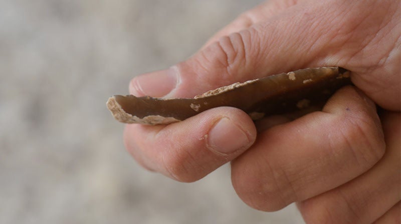 Image: Avraham Gopher