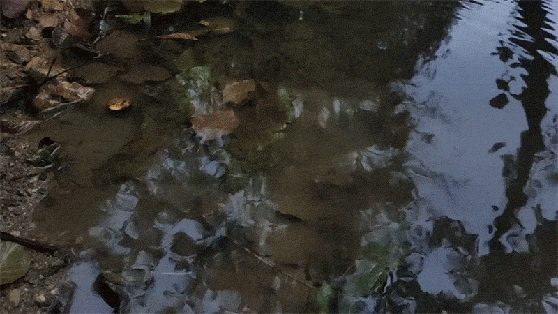 Ya es mala suerte tirarlo al agua y pillar una piedra, pero el Atom XL resistió igual.