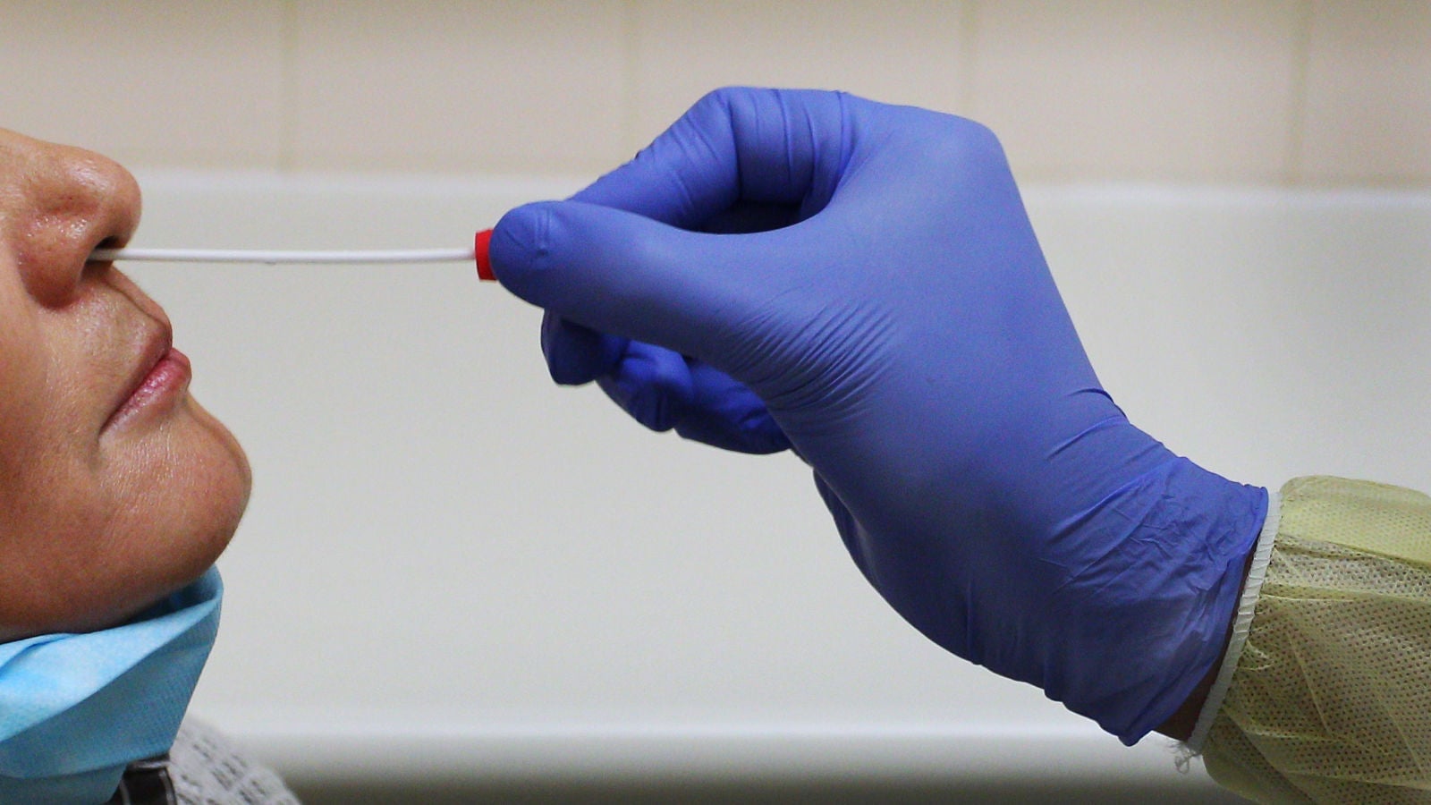 Photo: Lisa Maree Williams