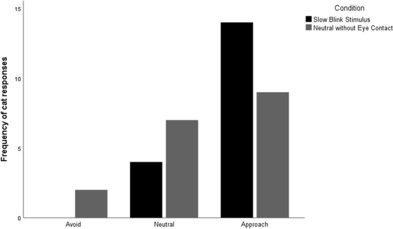 Los gatos a los que un humano desconocido les dio un parpadeo lento tenían más probabilidades de acercarse a ellos después que cuando se les dio una expresión neutra, encontró el estudio.