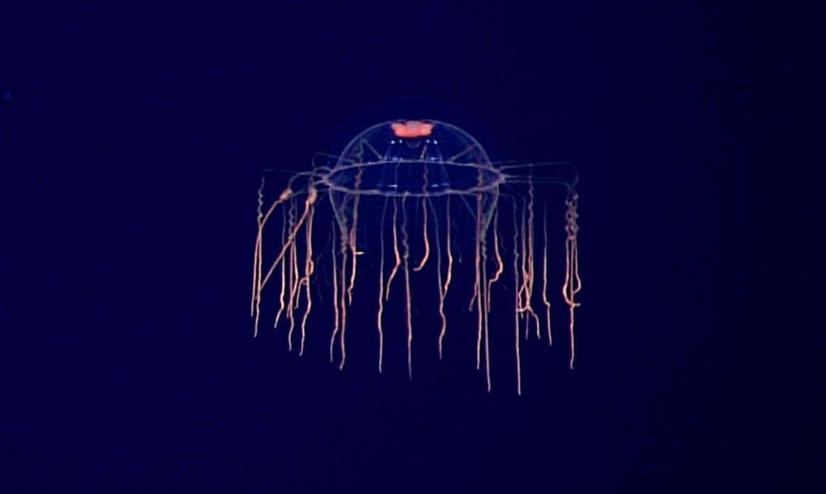 Image: NOAA
