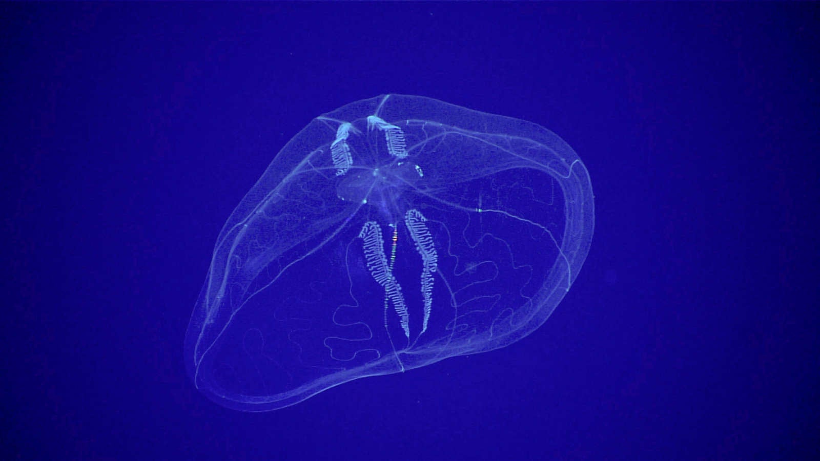 Image: NOAA
