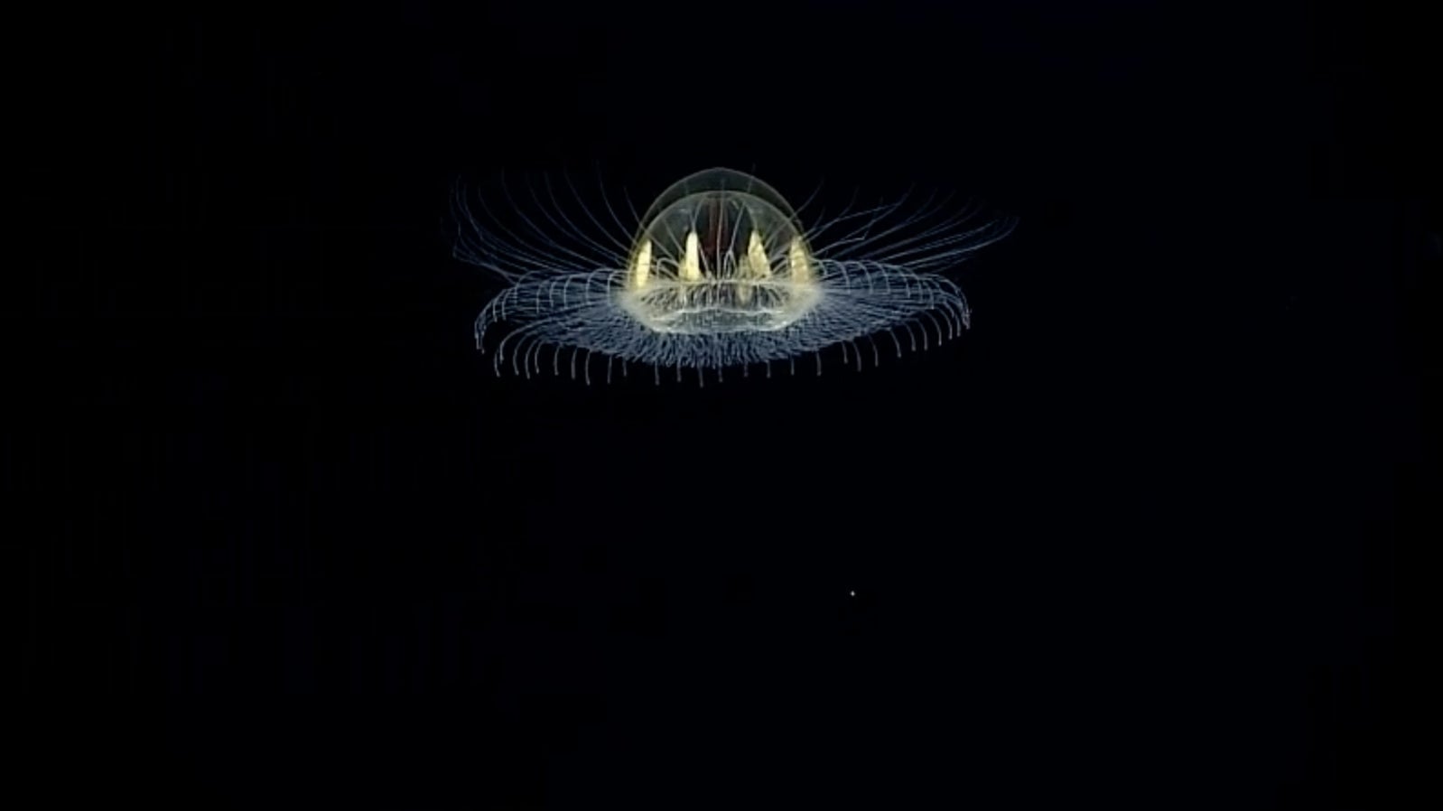 Image: NOAA