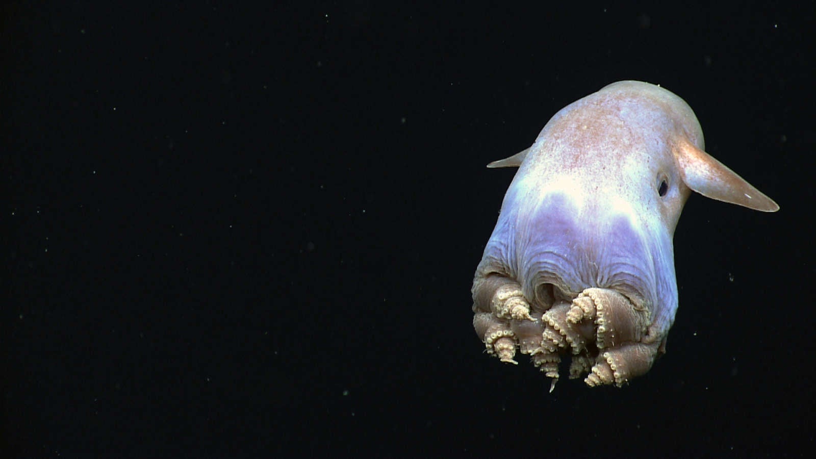Image: NOAA
