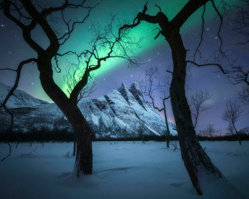 Image: Kelvin Yuen