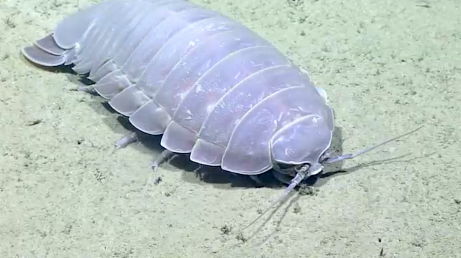 Image: NOAA