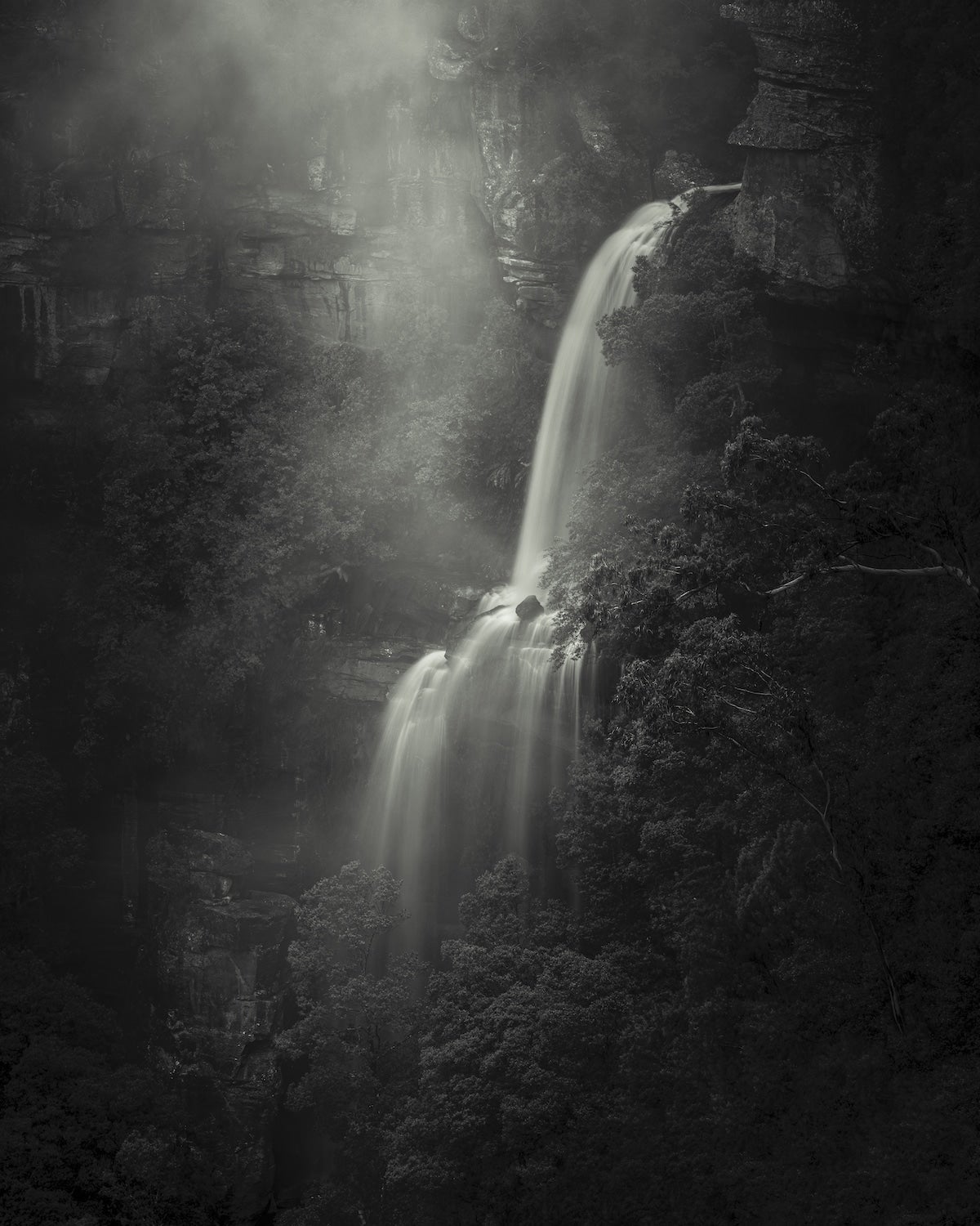 Image: Grant Galbraith
