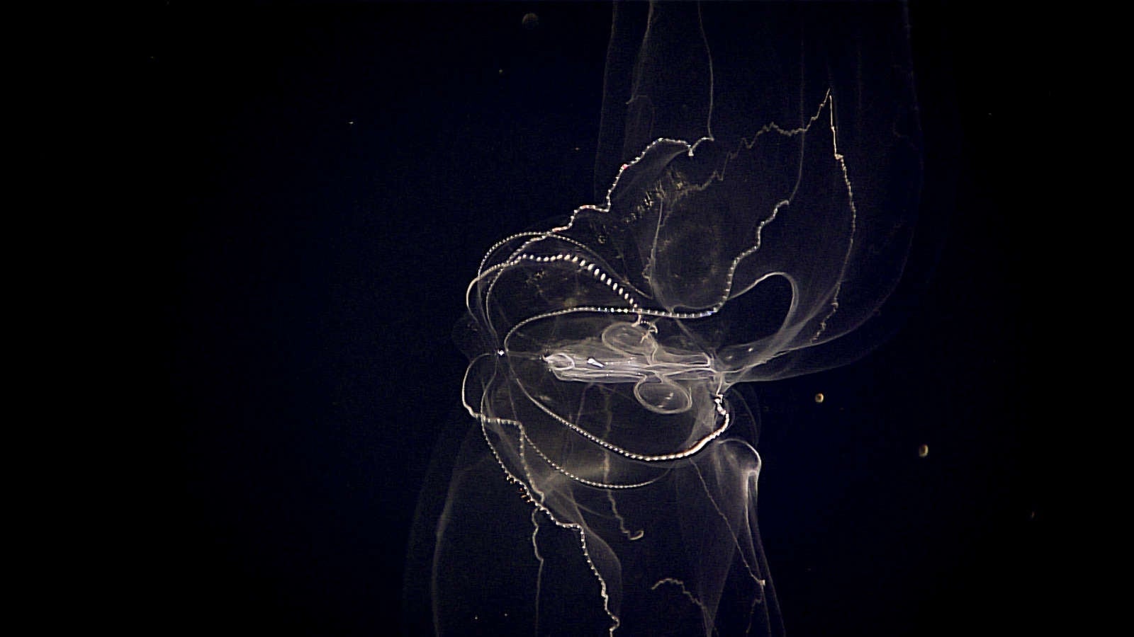 Image: NOAA