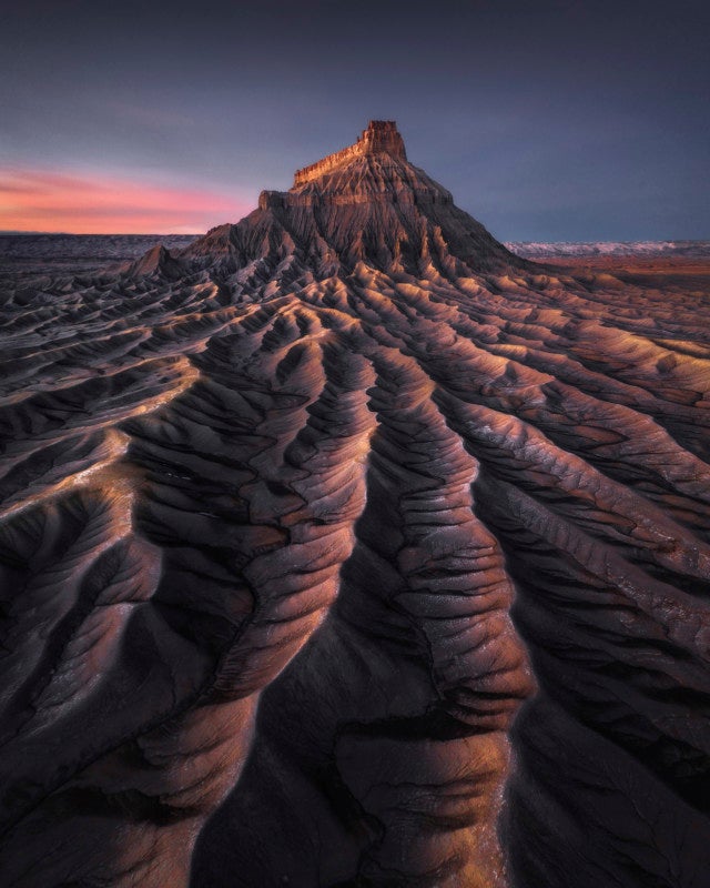 Image: Kelvin Yuen