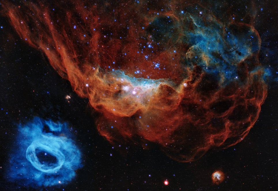 La nebulosa roja gigante (NGC 2014) y su vecino azul más pequeño (NGC 2020)