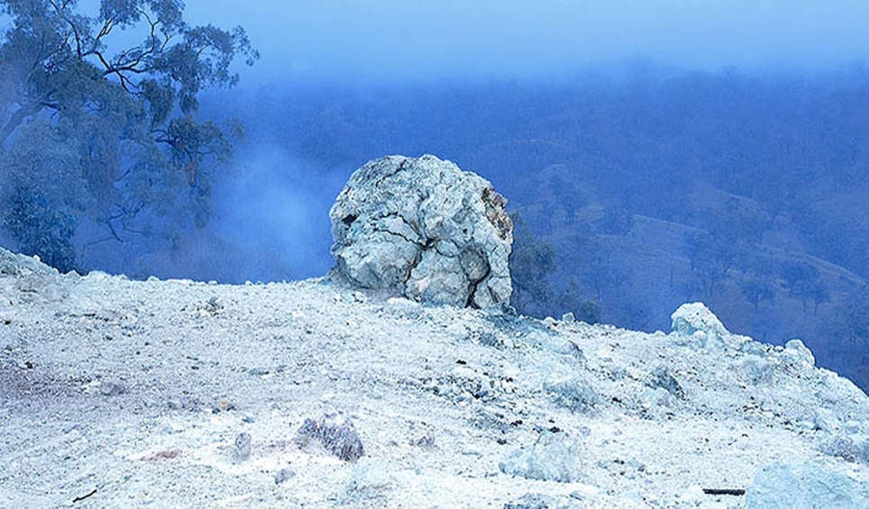 Image: NSW National Park and Wildlife Service of Australia