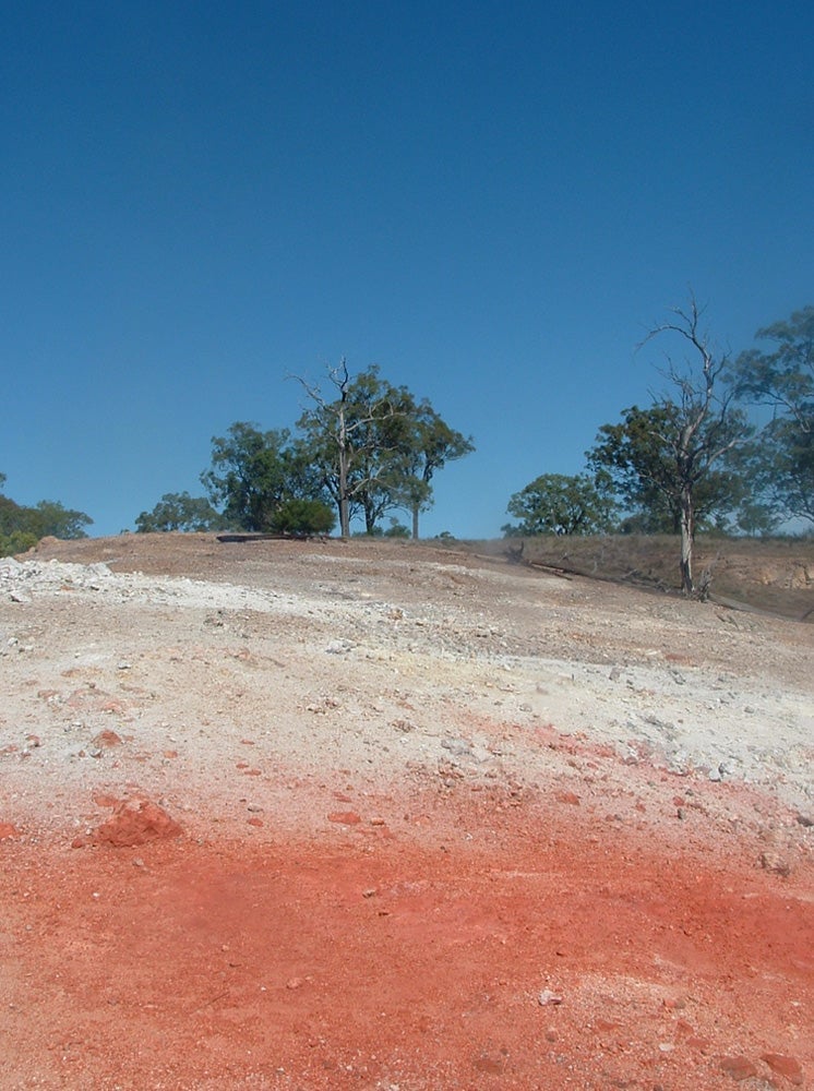 Image: Domingo público