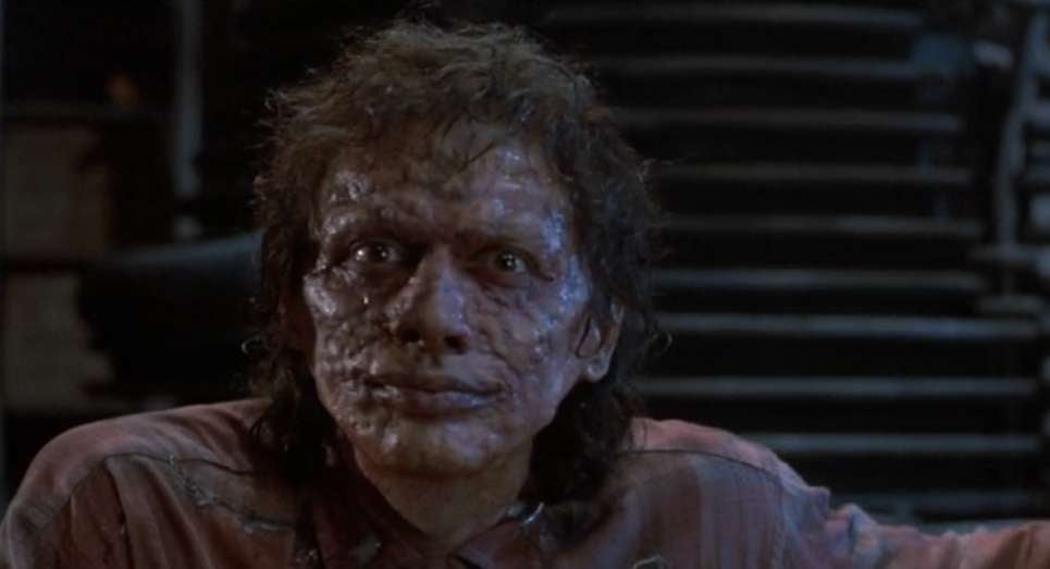 The Fly 