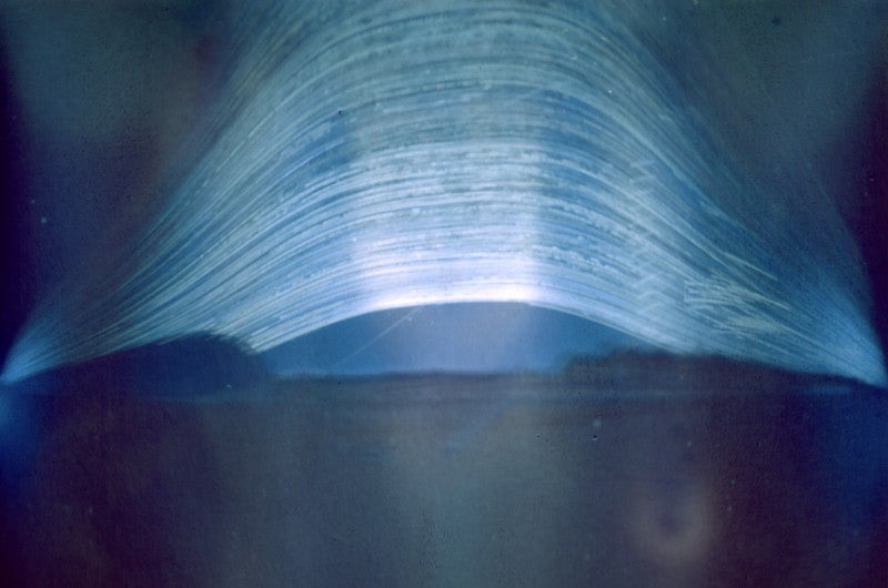 Image: Regina Valkenborgh/University of Hertfordshire)