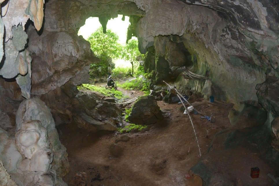 La entrada a la cueva Leang Tedongnge.