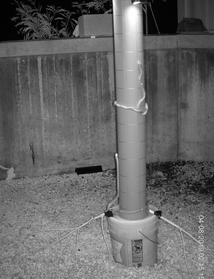 Image: Thomas Seibert