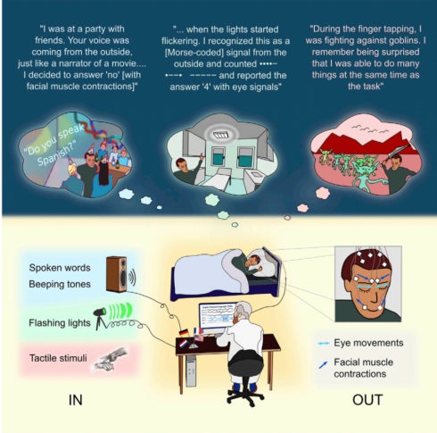 Un gráfico de los métodos de diseño y los hallazgos del estudio, que involucró a cuatro equipos de investigación en los Estados Unidos y Europa.