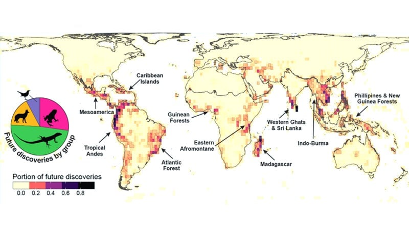 Image: Universidad de Yale /