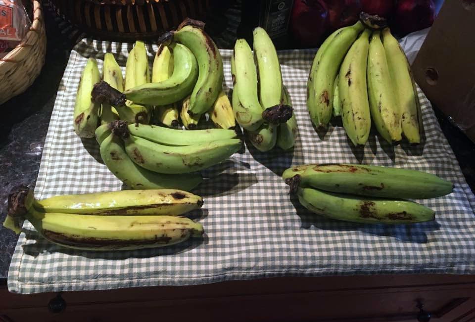 Plátanos Gros Michel.