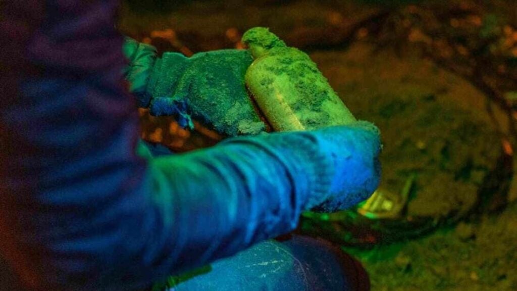 Photo: Universidad de Michigan