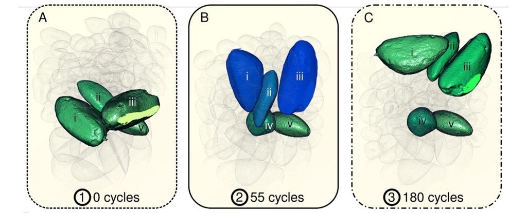 Image: Gajjar et al., Scientific Reports, 2021