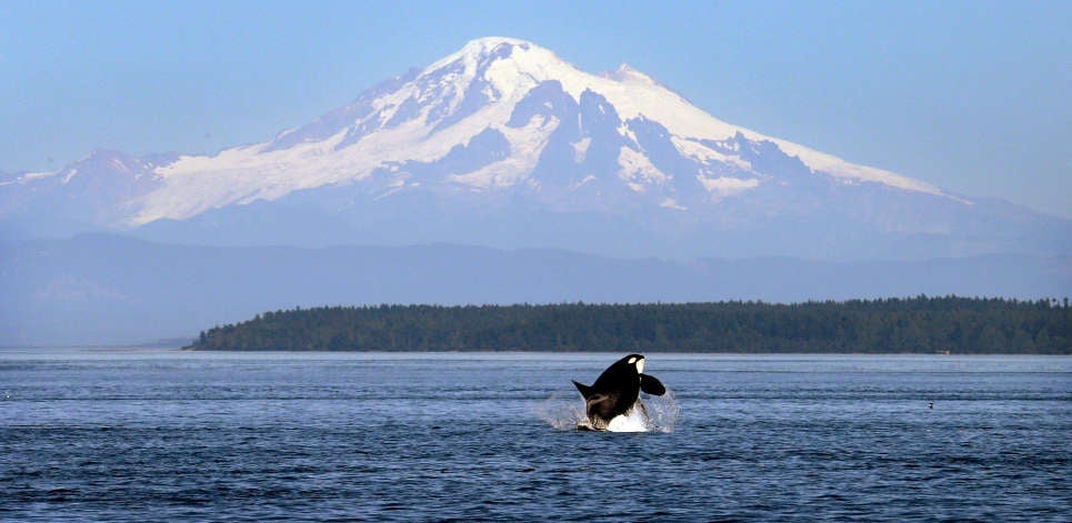 Photo: Salish Sea
