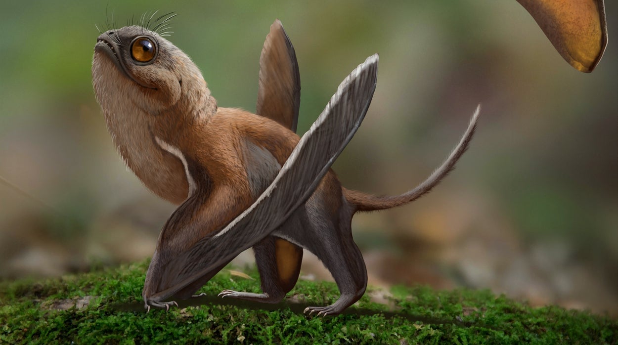 Una reconstrucción artística del Sinomacrops.