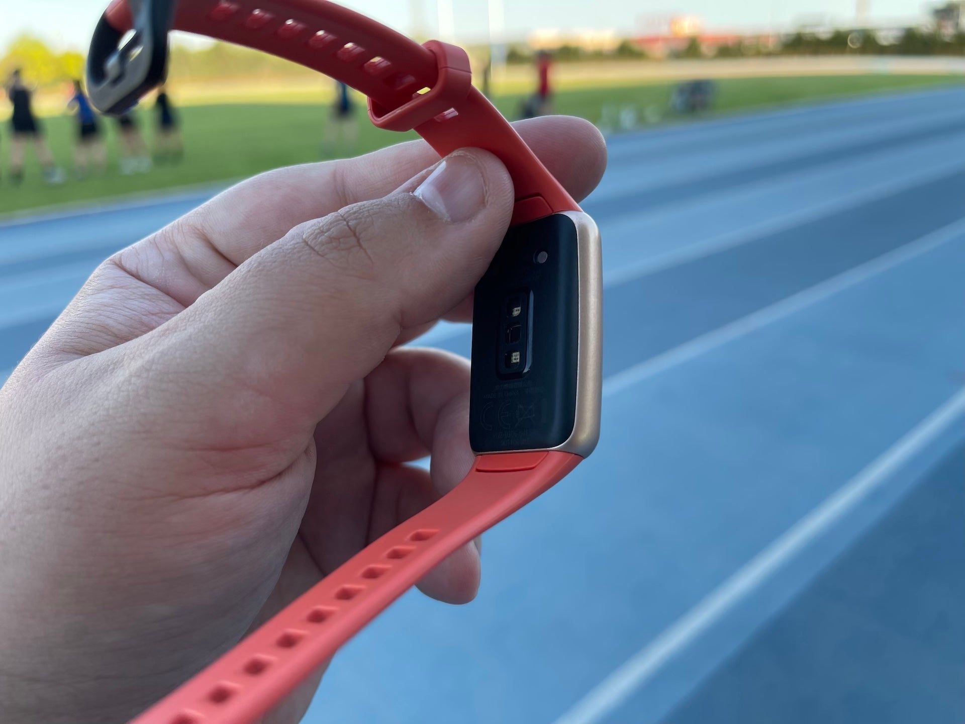 Photo: Matías S. Zavia / GizmodoES