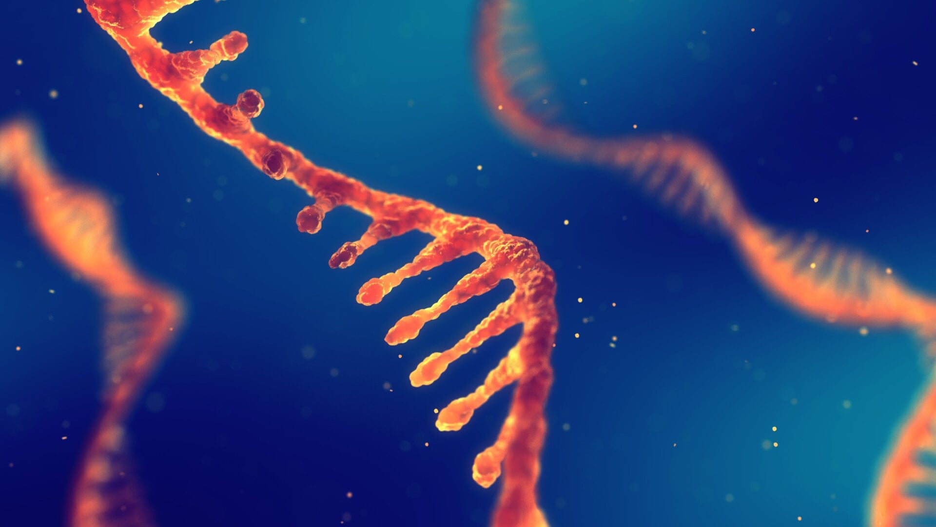 Image: nobeastsofierce (Shutterstock)