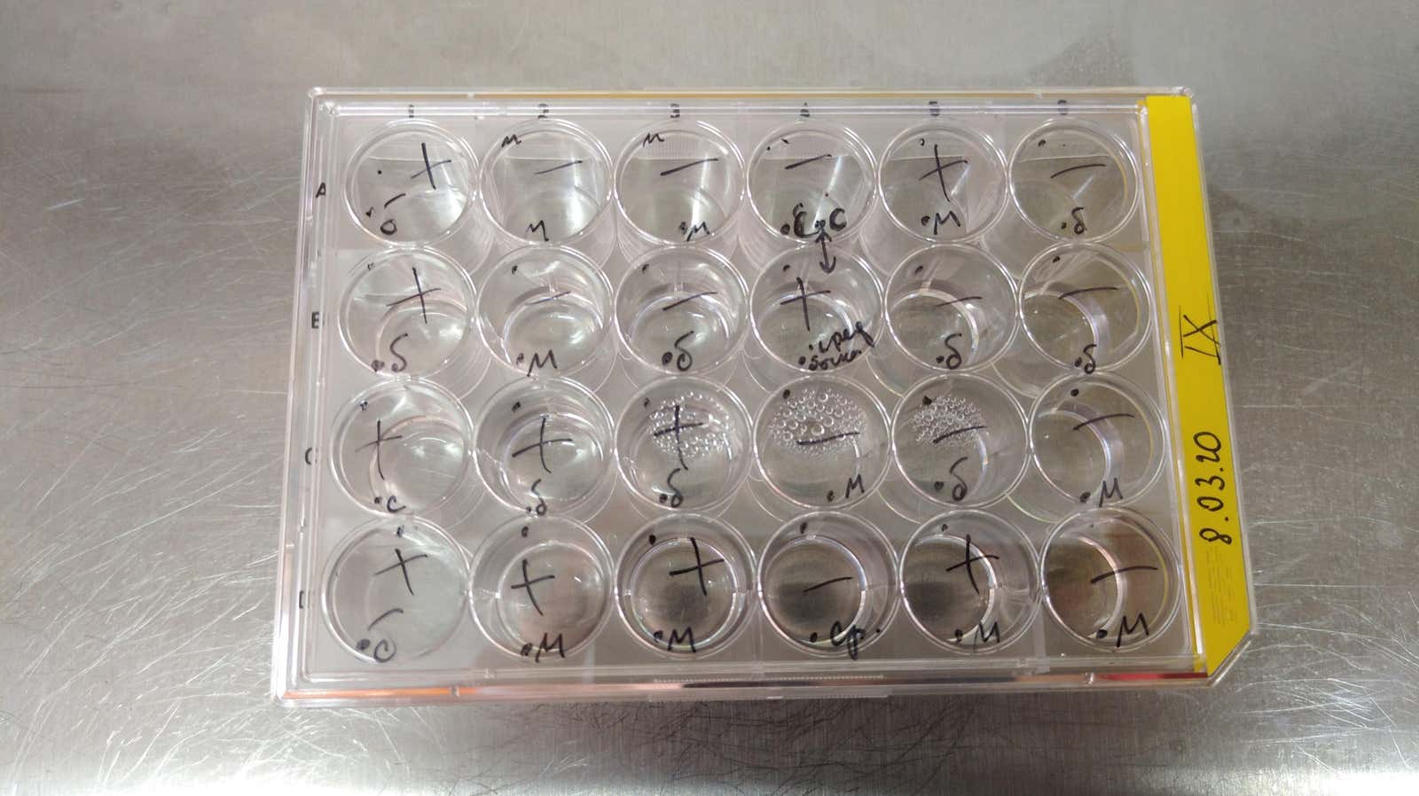 Configuración del experimento de congelación posterior