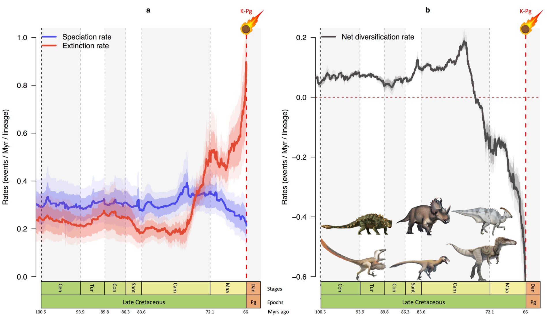 Image: Fabien L. Condamine/ISEM/CNRS
